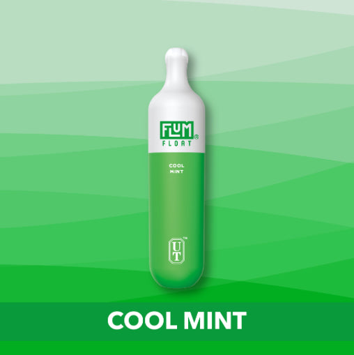 Cool Mint FLUM FLOAT 3000 Puffs